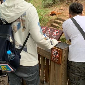 Meet your Posher, Dylan